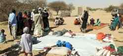 Distribution des semences et outils agricoles dans le village de Maiboutou