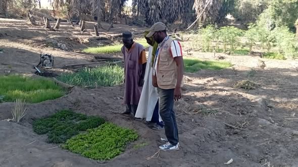 Une équipe de VND en mission de suivi des cultures maraîchères à Goudoumaria