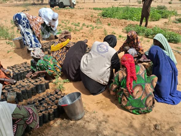 A Diffa, VND-NUR met en place une pépinière villageoise à Mamari Forage